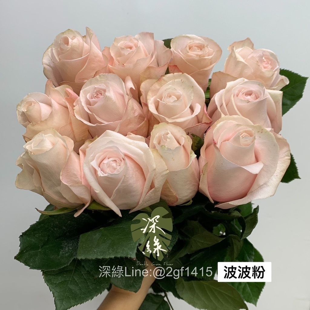 97B53443-84D1-44FC-BB23-8F58DC49C73B