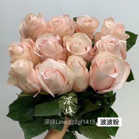 97B53443-84D1-44FC-BB23-8F58DC49C73B