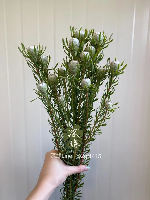 messageImage_1732434715324