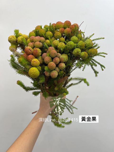 IMG_2150-1706089670631