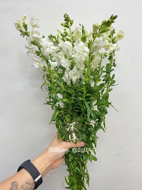 eZy Watermark_05-10-2024_09-25-21-9090上午-1728091607170