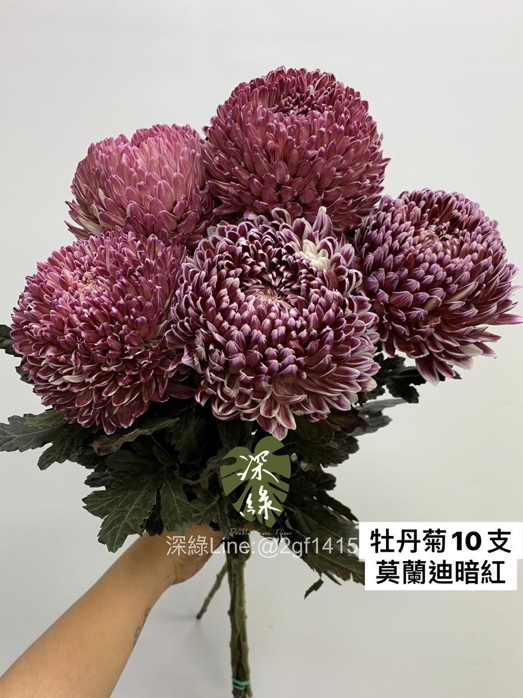 A9BB8481-421F-4AE9-B1E3-3B4D9E962BE9