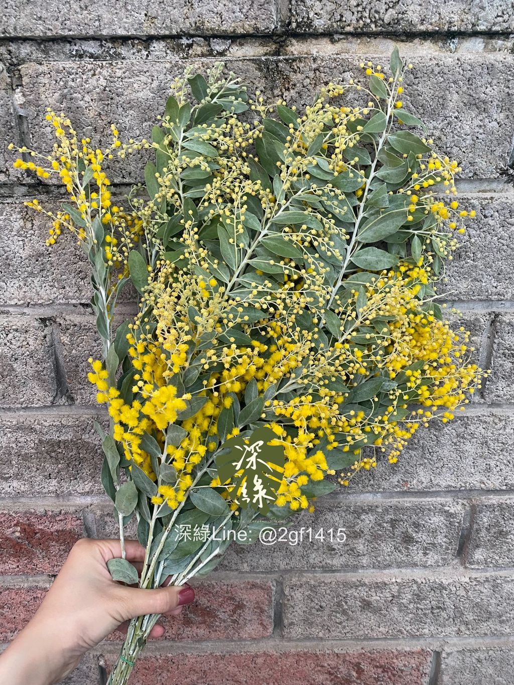 eZy Watermark_25-11-2024_06-16-22-7980下午-1732530262496