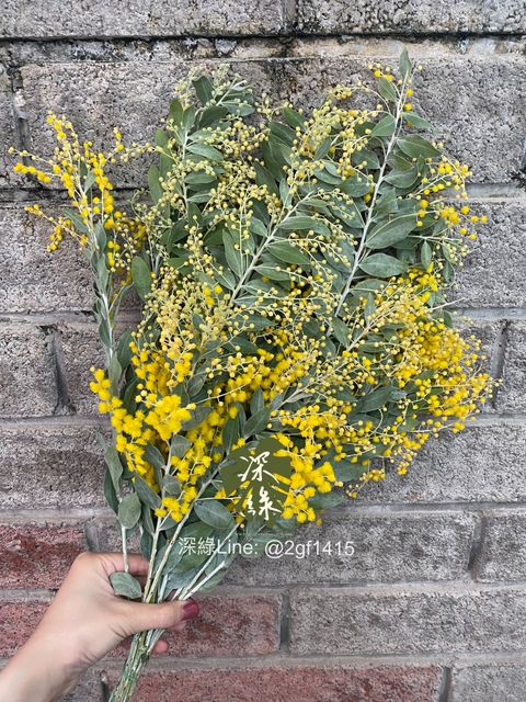 eZy Watermark_25-11-2024_06-16-22-7980下午-1732530262496