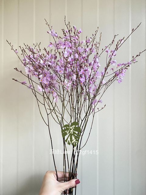 eZy Watermark_25-11-2024_06-16-22-1680下午-1732530400489