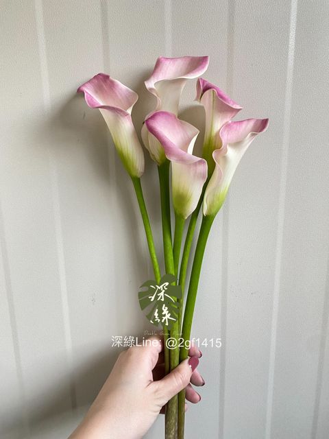 eZy Watermark_25-11-2024_06-16-19-6580下午-1732530454282