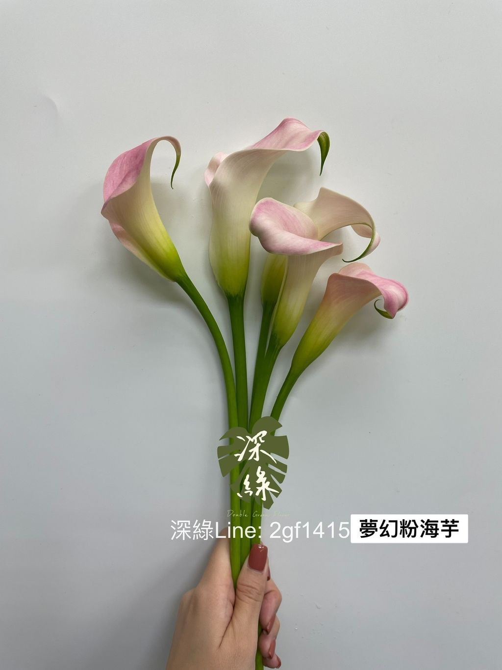 IMG_8492-1732512330113