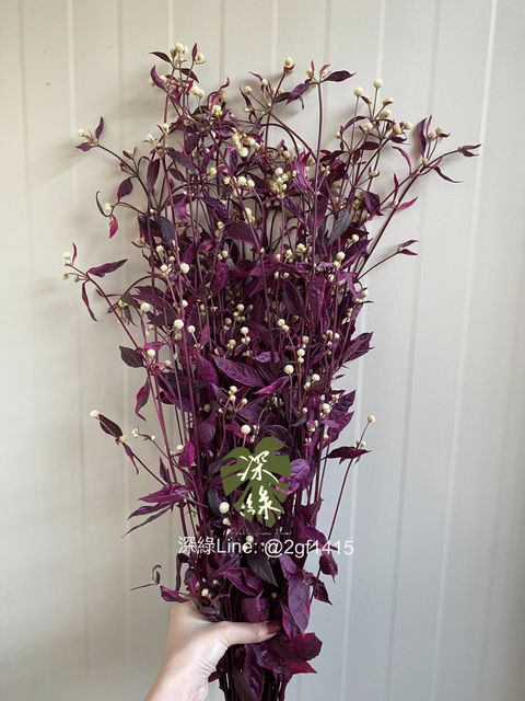 eZy Watermark_25-11-2024_06-16-20-3140下午-1732530538458