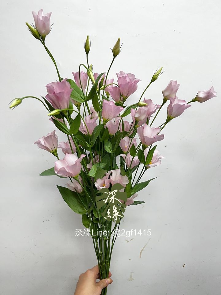 eZy Watermark_27-11-2024_12-56-01-2630下午-1732683386554