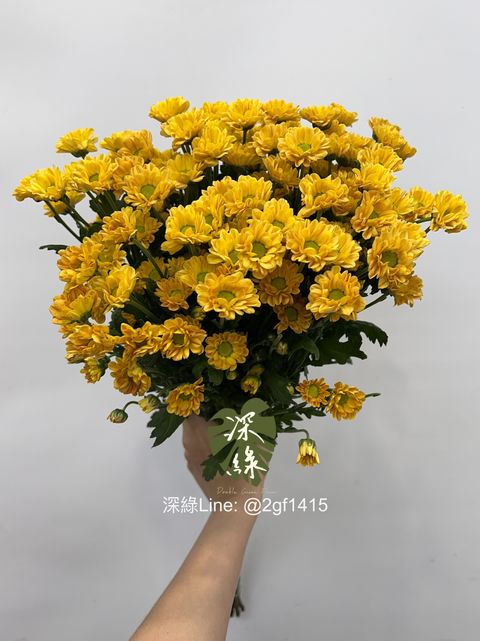 eZy Watermark_18-06-2024_12-04-55-3670下午-1718683681825