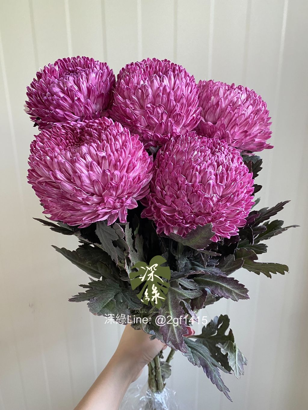 eZy Watermark_28-11-2024_07-13-36-8320下午-1732794508330