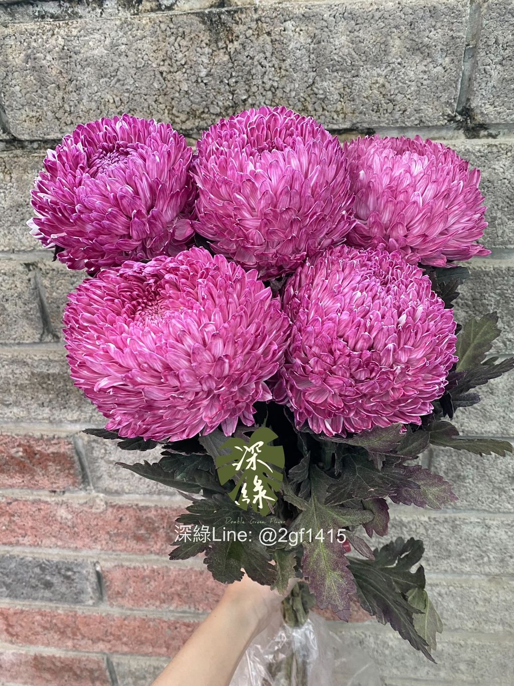 eZy Watermark_28-11-2024_07-13-36-1750下午-1732794508541