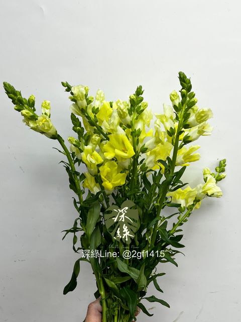 eZy Watermark_30-11-2024_11-18-51-5510上午-1732936883817