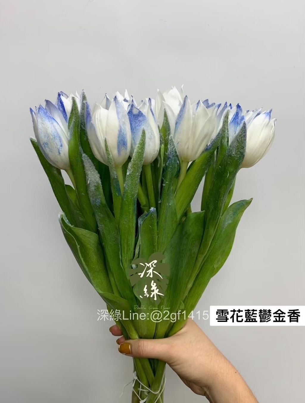 FCB5B1AA-C027-4C62-BCEC-C6892A86483E-L0-001