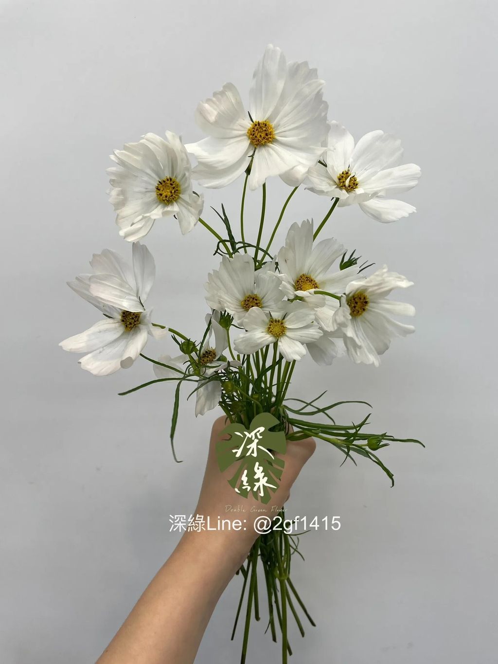 messageImage_1732438072153