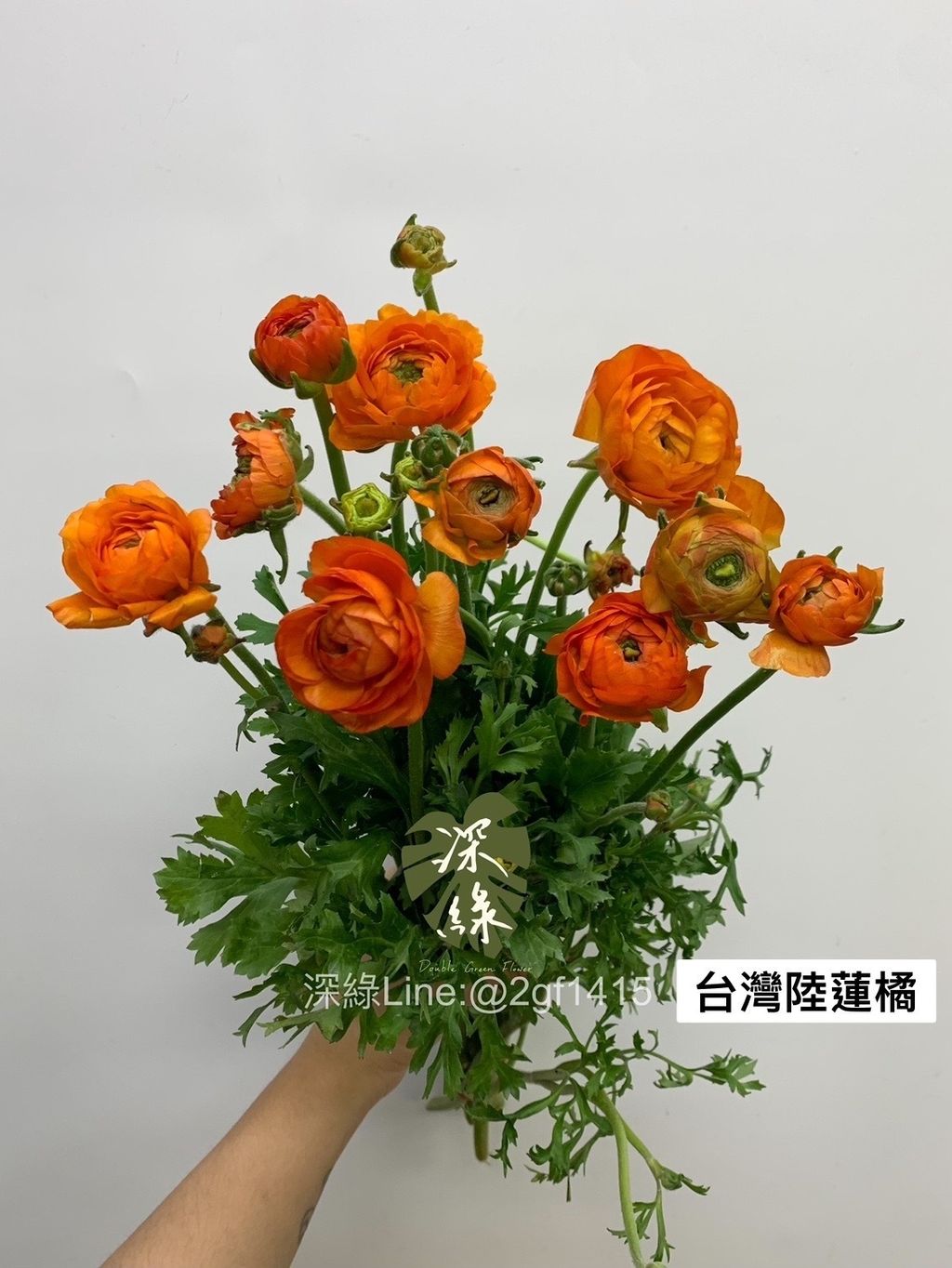 A97A1F72-9E2A-45D0-AA56-61FEE785206C