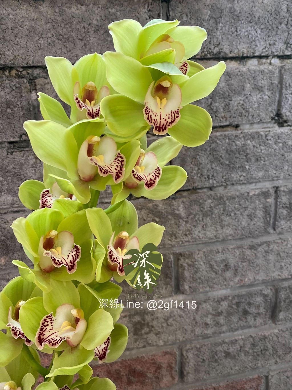 eZy Watermark_31-10-2024_08-12-55-6730下午-1730377091334