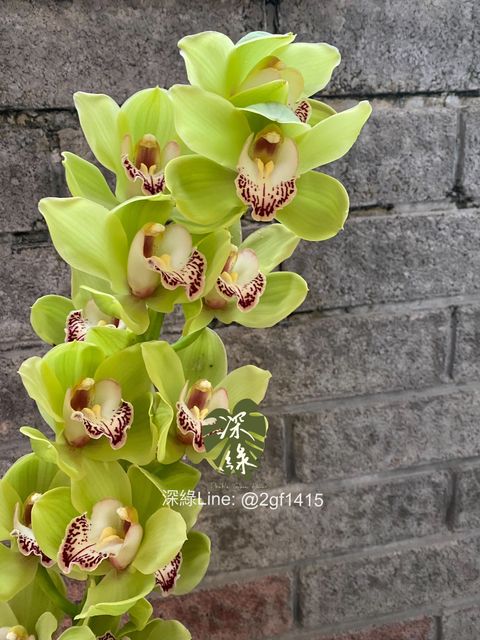 eZy Watermark_31-10-2024_08-12-55-6730下午-1730377091334