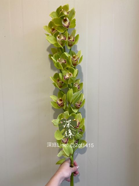 eZy Watermark_31-10-2024_08-12-56-2590下午-1730377080582
