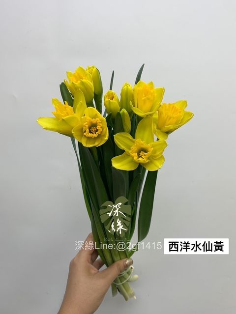 2F7E9AE1-3FA2-438F-9E09-57EF34B87C49