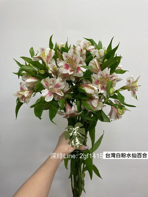 A31B1BA3-5B6F-4135-9DB6-5B9E6EFCEF23