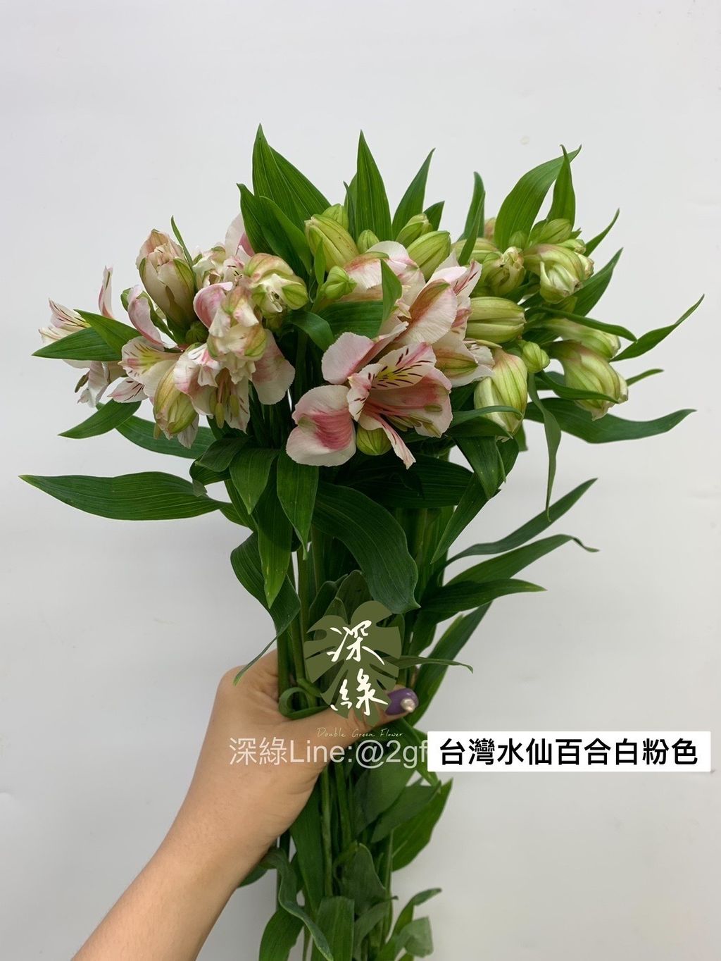 C1132BCB-F710-4ED4-B837-B2CD862903B2