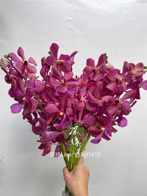 eZy Watermark_09-12-2024_12-49-38-5710下午-1733720276502