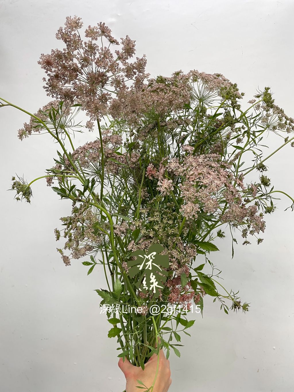 eZy Watermark_09-12-2024_12-54-53-4250下午-1733720330493