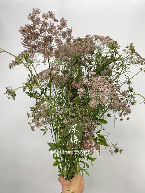 eZy Watermark_09-12-2024_12-54-53-4250下午-1733720330493