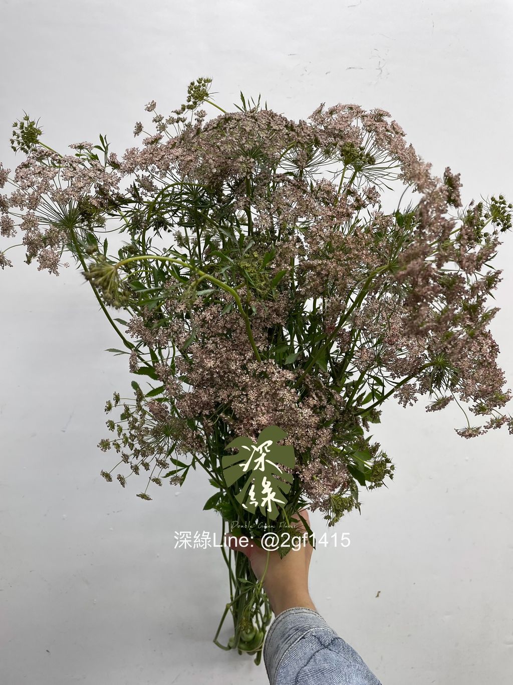 eZy Watermark_09-12-2024_12-54-11-7800下午-1733720330613