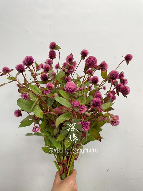 IMG_1587-1733721137730