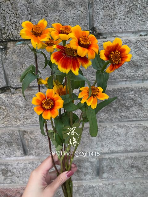 eZy Watermark_09-12-2024_05-53-19-0800下午-1733738267810