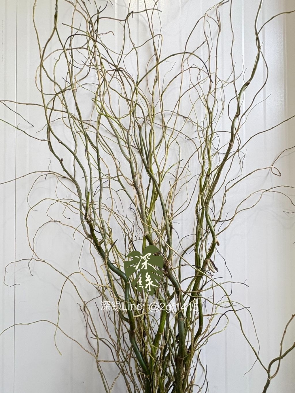 eZy Watermark_05-12-2024_12-26-22-4580上午-1733739333676