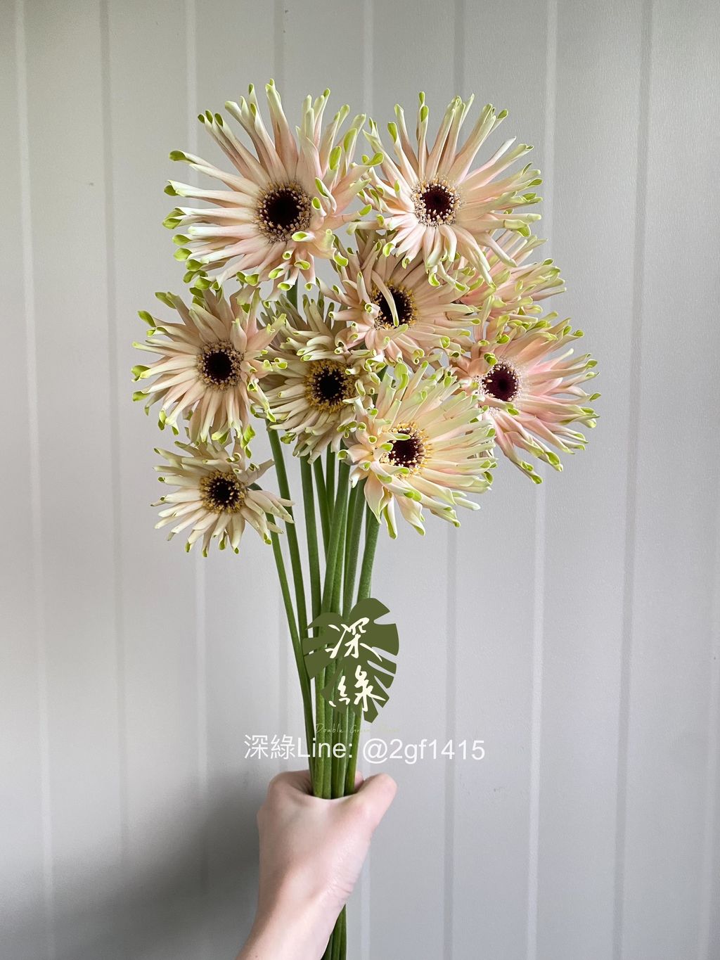 eZy Watermark_09-12-2024_05-53-22-8960下午-1733824337030