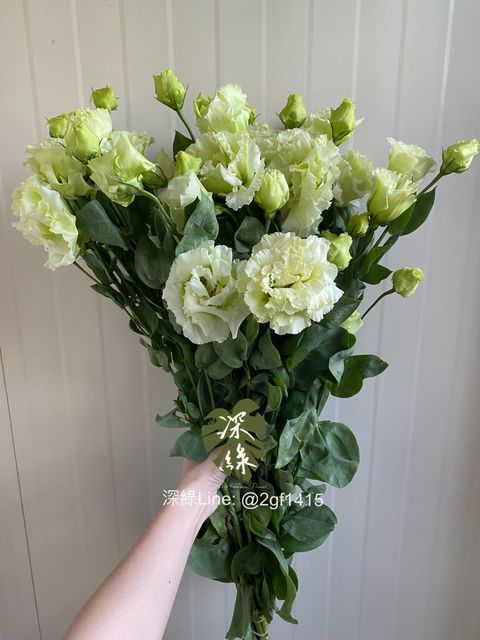 eZy Watermark_11-12-2024_07-58-03-2730下午-1733918294120