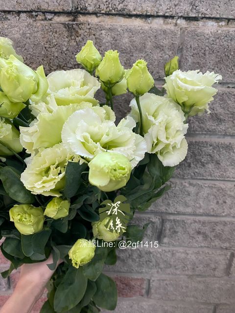 eZy Watermark_11-12-2024_07-58-04-1720下午-1733918294335