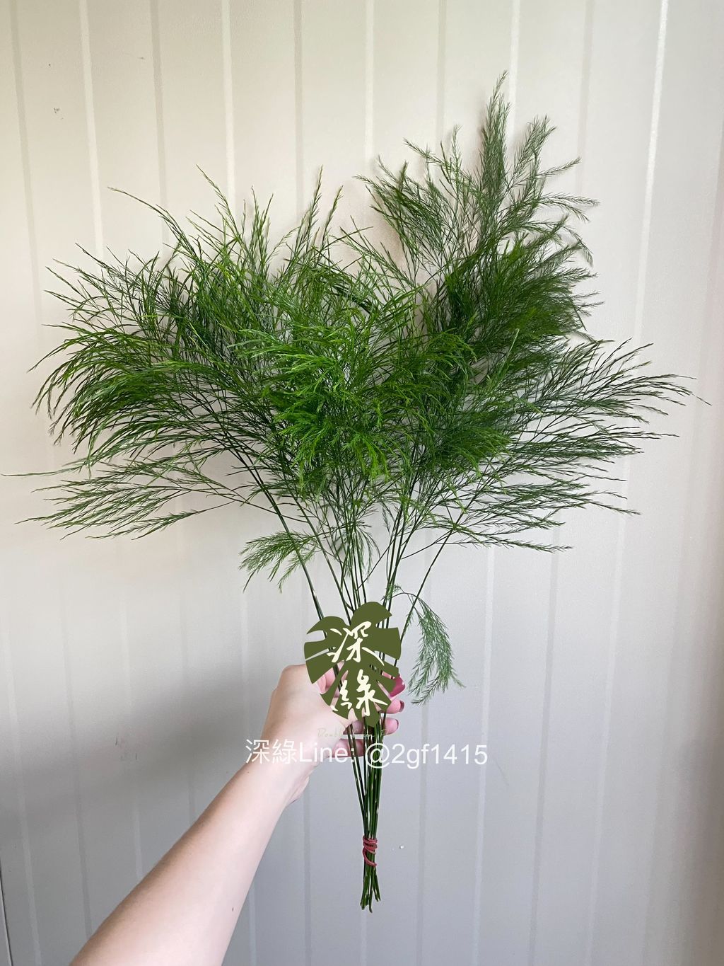 eZy Watermark_11-12-2024_07-58-04-8270下午-1733918364517