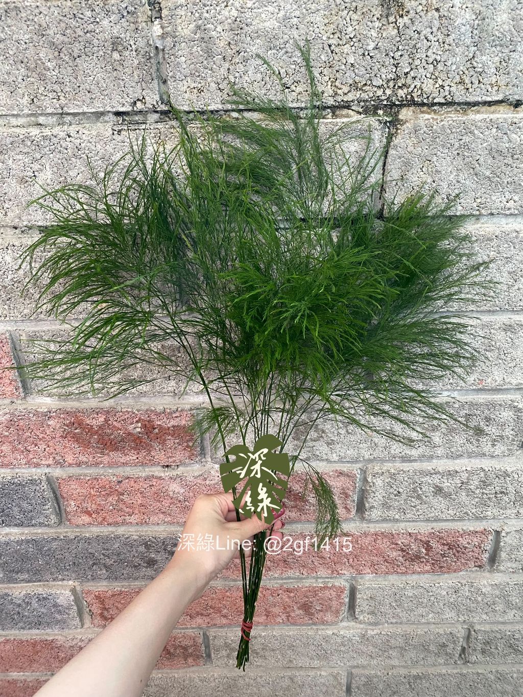 eZy Watermark_11-12-2024_07-58-06-1870下午-1733918364766