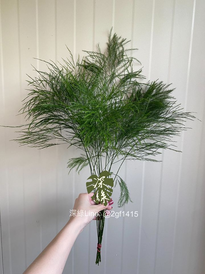 eZy Watermark_11-12-2024_07-58-05-4660下午-1733918364969