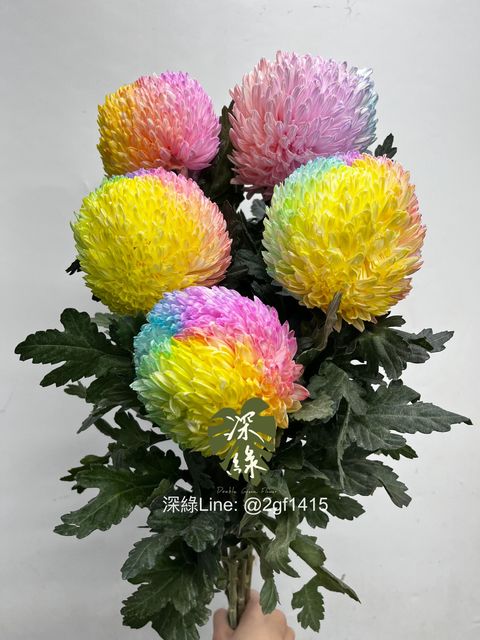 eZy Watermark_12-12-2024_12-31-12-3370下午-1733977912252