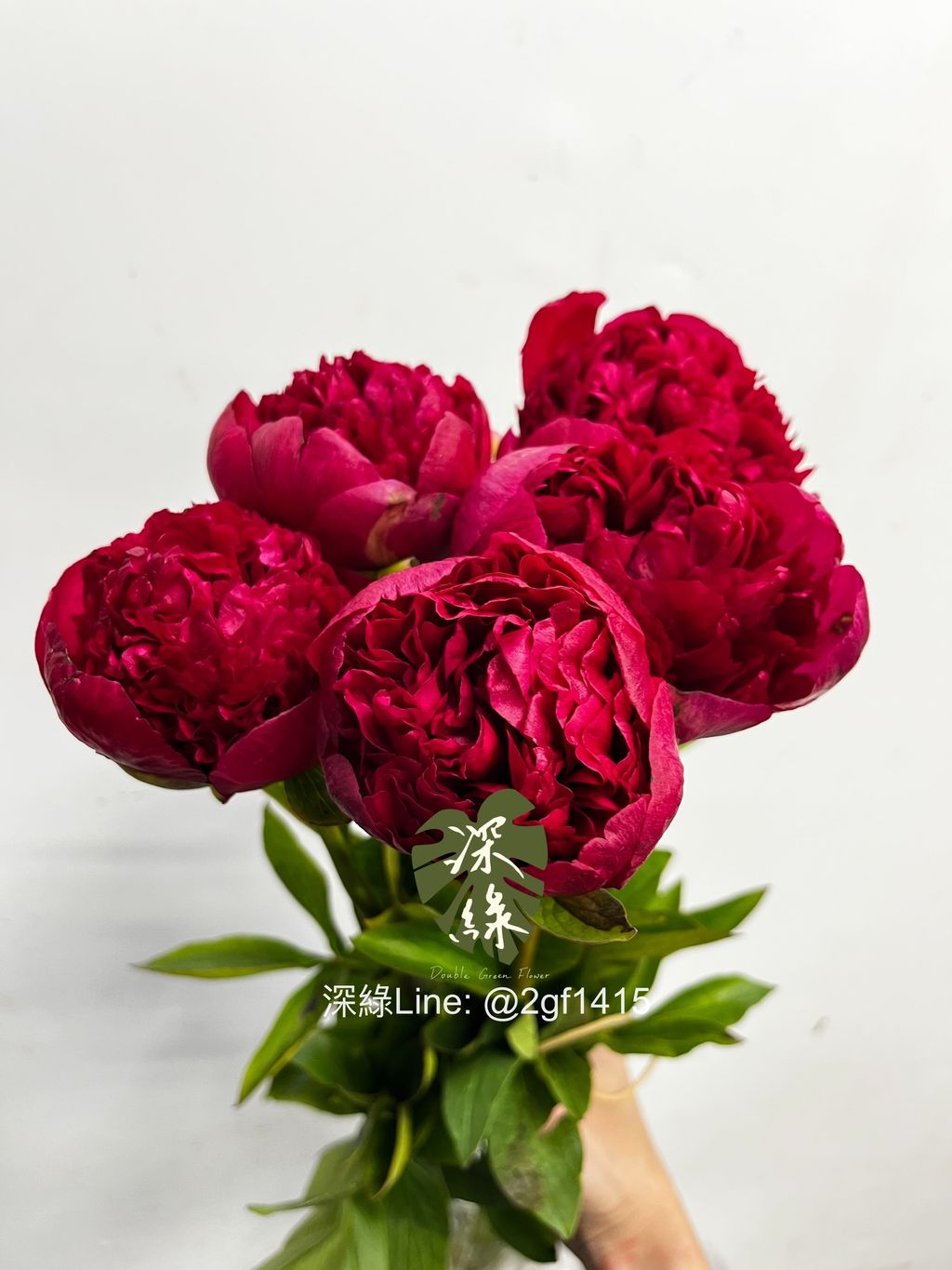 eZy Watermark_12-12-2024_12-31-03-3130下午-1733977939534