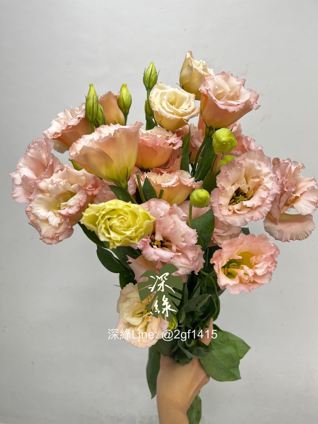 eZy Watermark_14-12-2024_08-14-27-1640上午-1734135306426