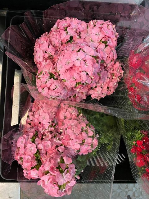 IMG_6399-1732792020317