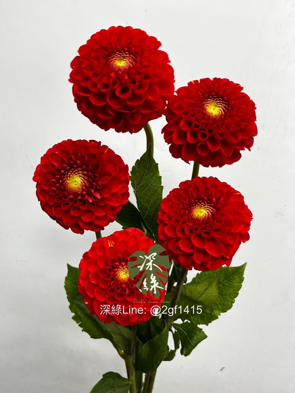 eZy Watermark_14-12-2024_10-19-06-6190上午-1734142763872