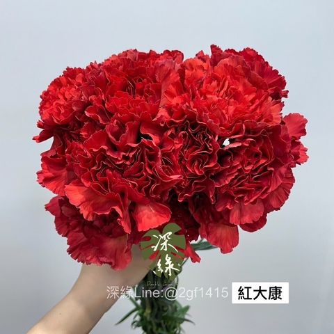 22c8fd5a191ef84465da7c359f9b7e9ae81c9919