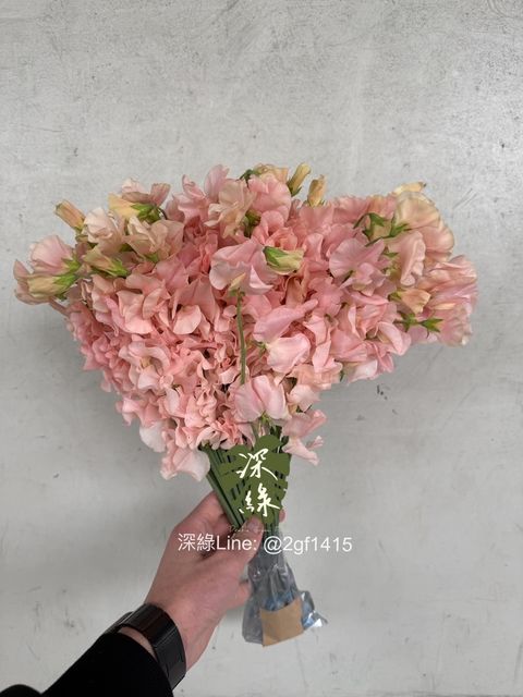 eZy Watermark_15-12-2024_01-58-37-1310下午-1734242378624