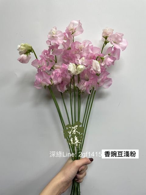 IMG_0049-1734242583346