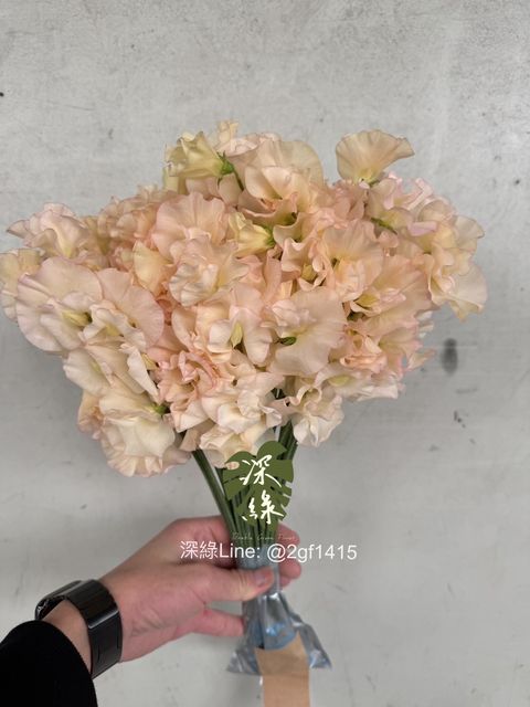 eZy Watermark_15-12-2024_01-58-35-8360下午-1734243095497