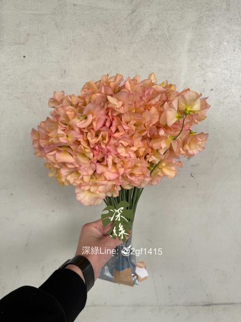 eZy Watermark_15-12-2024_01-58-36-7540下午-1734243050086