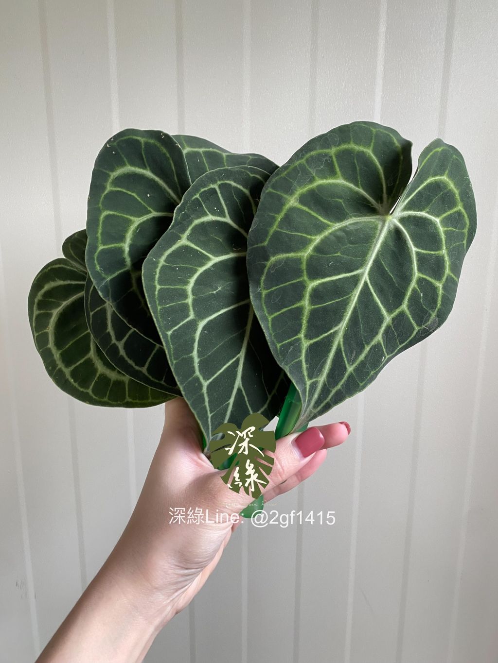 F8A23CA0-8464-4CF7-95C5-058C3078347B